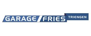 Garage Fries