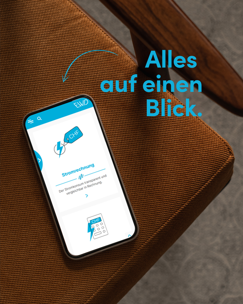 EWD Elektrizitätswerk AG